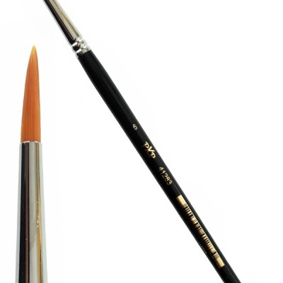 Party Xplosion Round 6